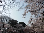 画像(144x108)