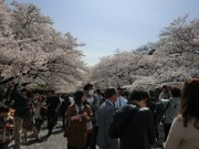 摜(180x135)Eg摜(216x162)