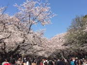 摜(180x135)Eg摜(320x240)