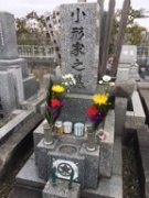 摜(135x180)Eg摜(144x192)