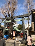 画像(120x160)