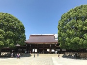 摜(180x135)Eg摜(320x240)