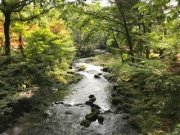 摜(180x135)Eg摜(320x240)