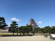 摜(180x135)Eg摜(320x240)