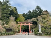 摜(180x135)Eg摜(320x240)
