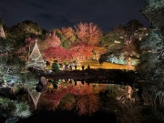 摜(180x135)Eg摜(640x480)