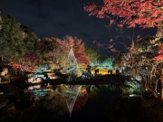 摜(180x135)Eg摜(640x480)